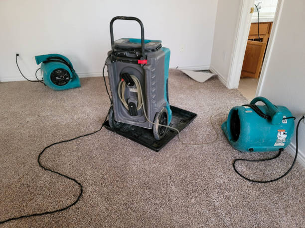 Best Flooded house restoration  in Melrose, MA