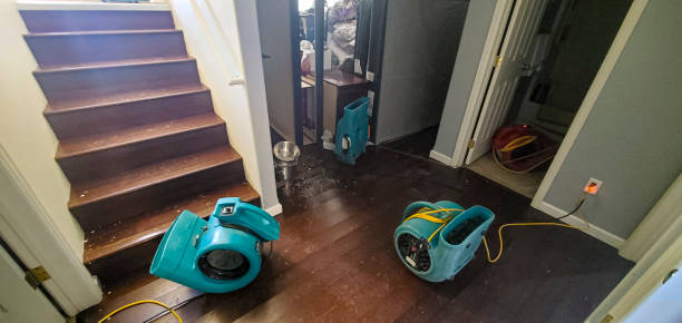 Best Fire Damage Restoration  in Melrose, MA
