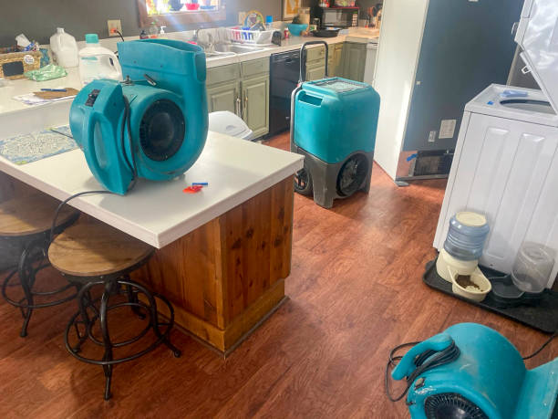 Best Residential water damage restoration  in Melrose, MA