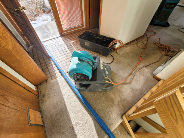 Best Professional water damage repair  in Melrose, MA
