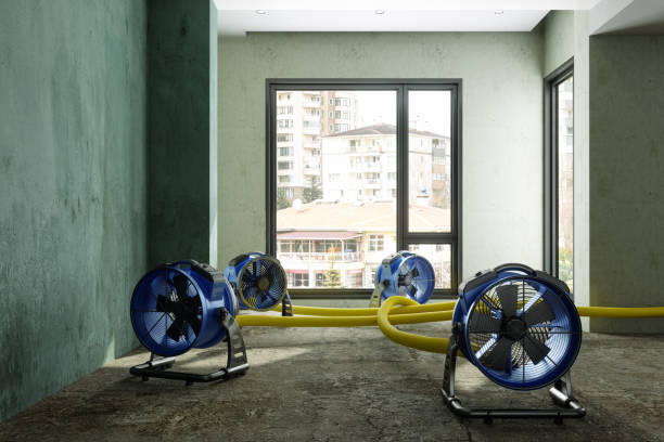 Best Flood restoration services  in Melrose, MA