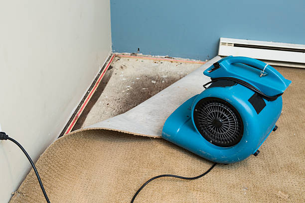 Best Water damage mitigation services  in Melrose, MA